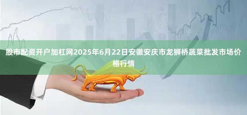 股市配资开户加杠网2025年6月22日安徽安庆市龙狮桥蔬菜批发市场价格行情