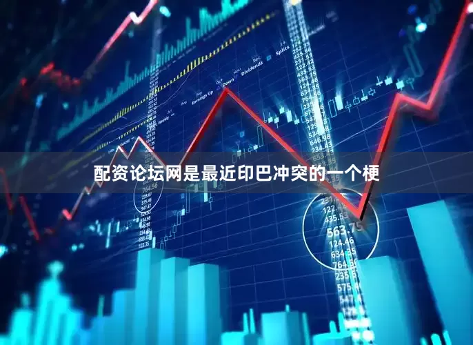 配资论坛网是最近印巴冲突的一个梗