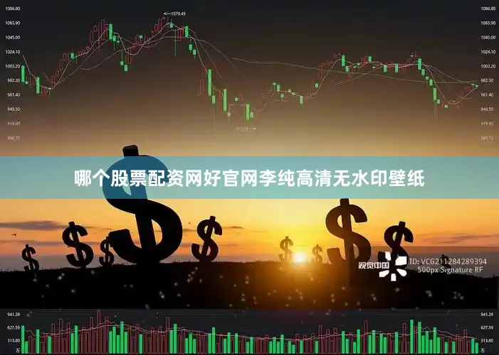 哪个股票配资网好官网李纯高清无水印壁纸