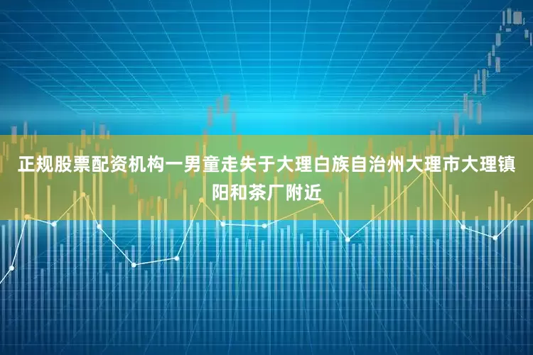 正规股票配资机构一男童走失于大理白族自治州大理市大理镇阳和茶厂附近