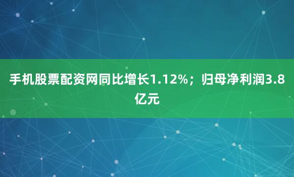 手机股票配资网同比增长1.12%；归母净利润3.8亿元