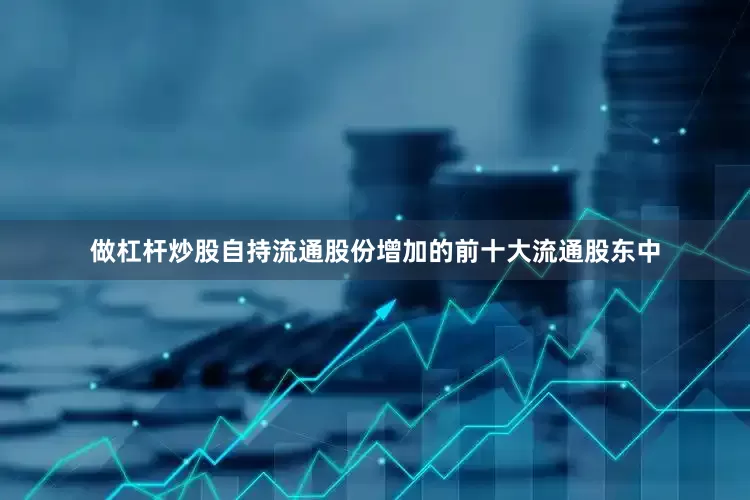 做杠杆炒股自持流通股份增加的前十大流通股东中