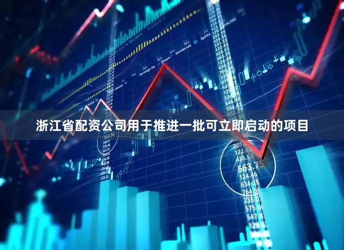 浙江省配资公司用于推进一批可立即启动的项目